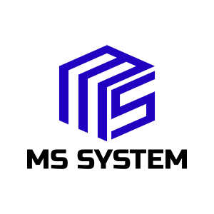 MS SYSTEM